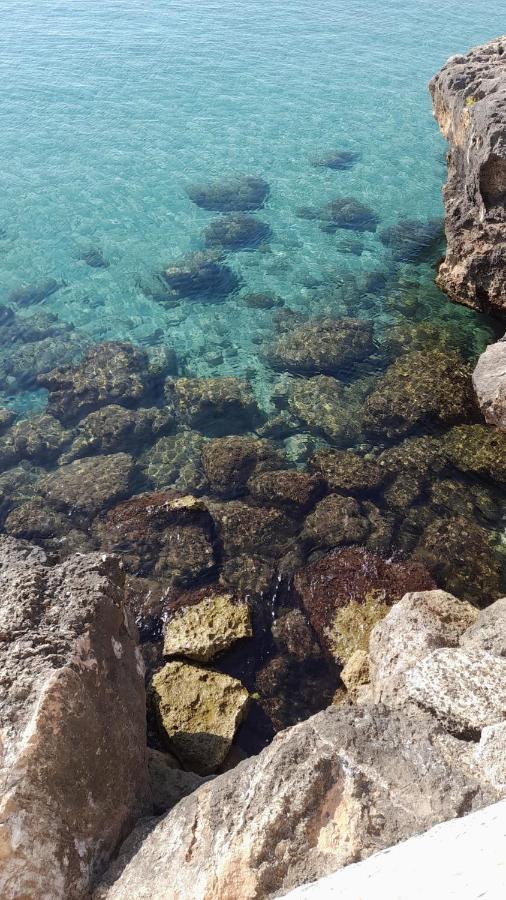 Il Vecchio Carrubo - Con Piscina A Sfioro